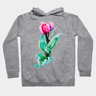 Shy Little Tulip Hoodie